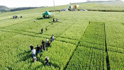 Programa vivenciando a prática aproxima estudantes da realidade do campo 